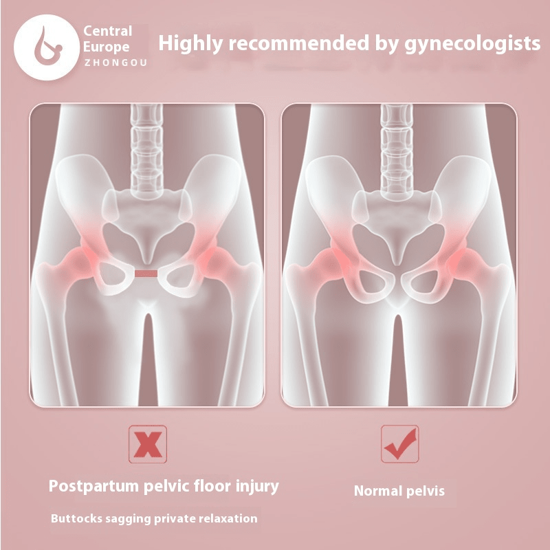 Pelvic Floor Muscle Trainer
